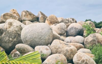 The Ultimate Guide to Bulk Natural: Sourcing Pure Ingredients for Your Needs