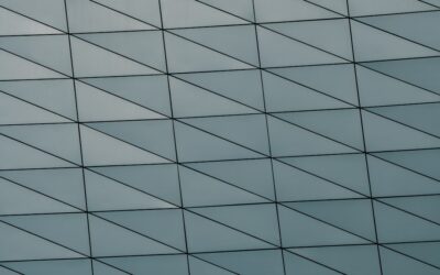 Mastering the Maze: A Comprehensive Guide to Customs and Trade Compliance Audits