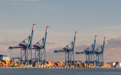 Mastering the Flow: Essential Logistics Activities for a Smooth Supply Chain