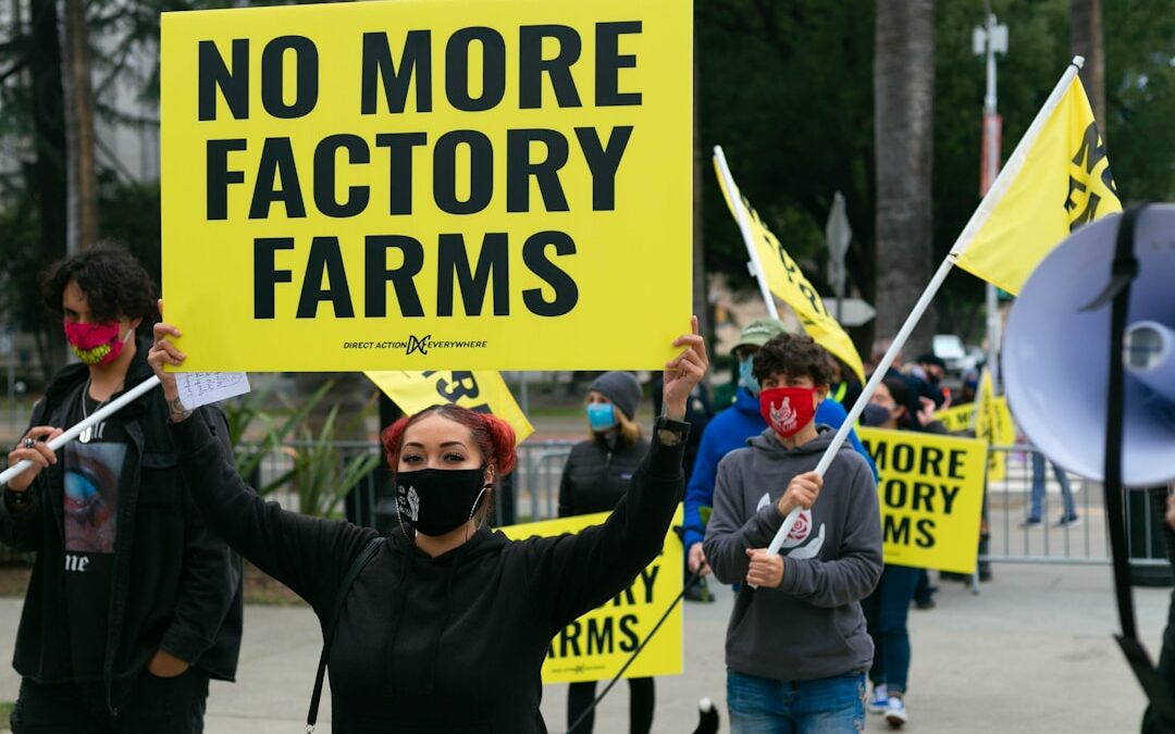 private label manufacturers in California